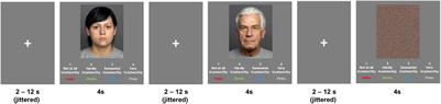 Age-Related Differences in Amygdala Activation Associated With Face Trustworthiness but No Evidence of Oxytocin Modulation